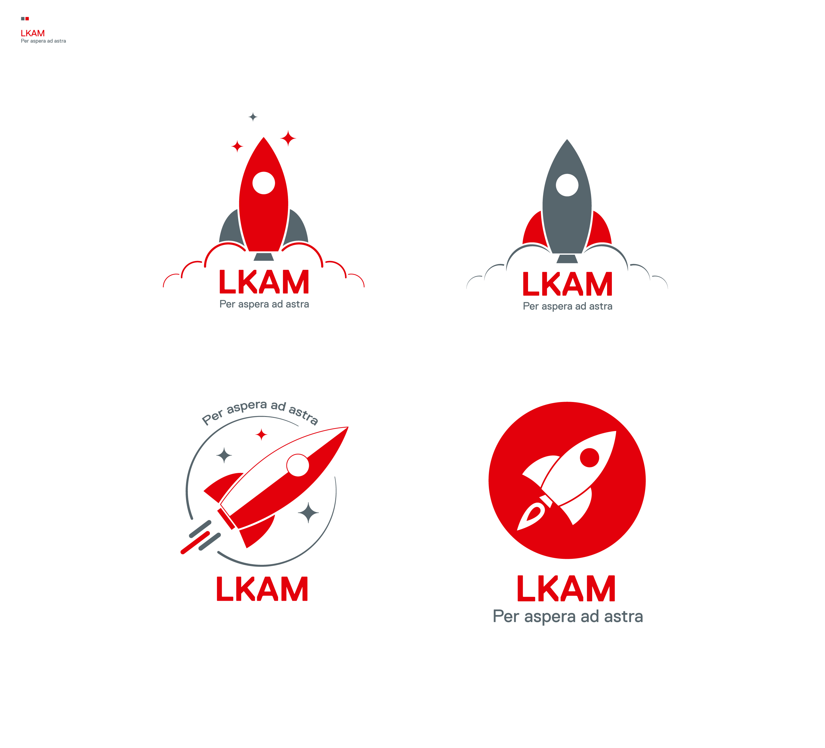 Logo design for Henkel LKAM department