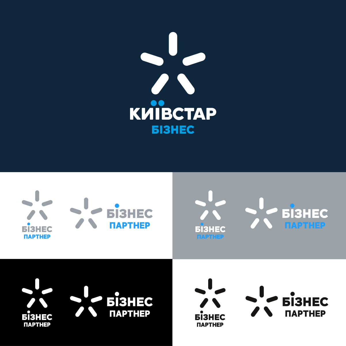 Kyivstar B2B logo
